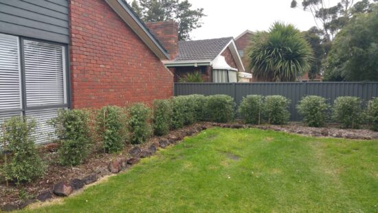 Local Hedge Planting Services by Hedge Works