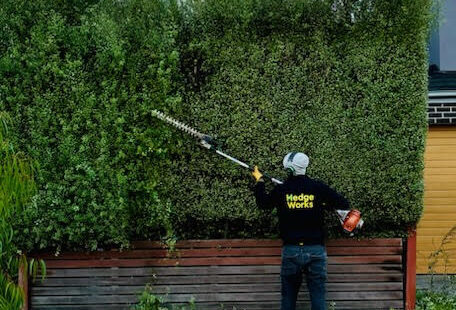 Local Hedge Trimming Services Hedge Works