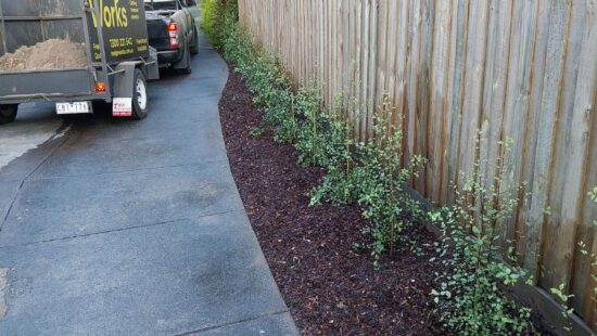 Local Tree Planting Services by Hedge Works