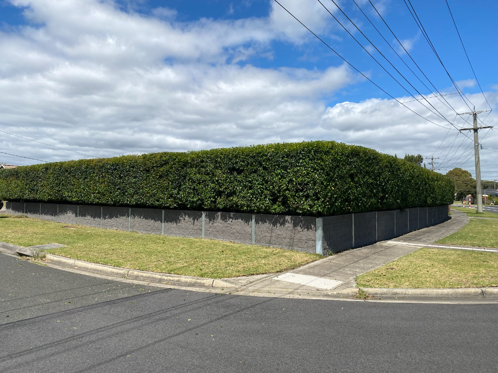 Hedge Cutting